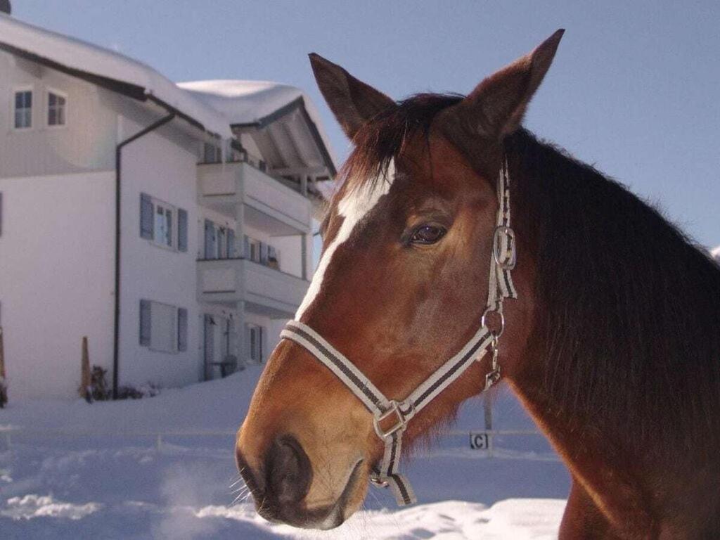 Gottesacker Comfortable Holiday Residence Riezlern Eksteriør bilde